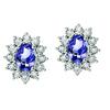 Silver Diamond Tanzanite Earrings / FP4099T