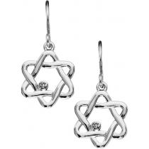 Silver Diamond Earrings / SER3001