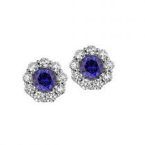 Sapphire & Diamond Earrings in 14K White Gold 