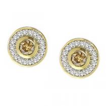 3/4 ctw Brown & White Diamond Earrings in 10K Yellow Gold / FE4086