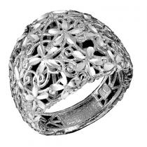 Silver Ring/FR4116
