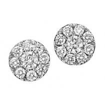 1/2 ctw Diamond Earrings in 14K White Gold /HDER085BW