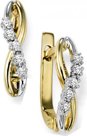 Diamond Earrings in 10K Yellow Gold / FE4033