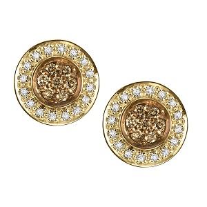 1/3 ctw Brown & White Diamond Earrings in 10K White Gold /NE281 